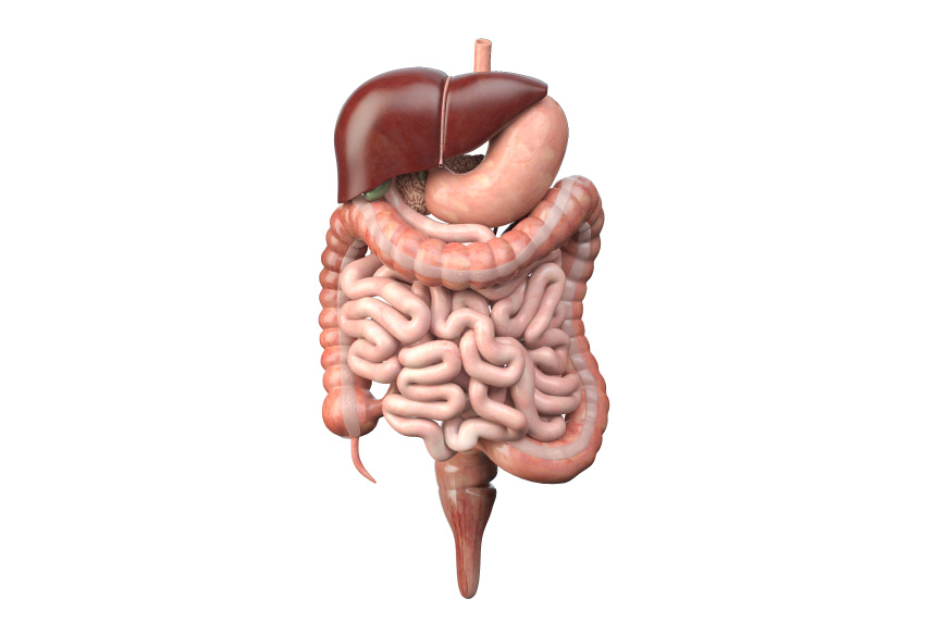 Gastroenterología