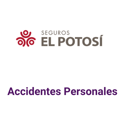 Seguros el Potosi